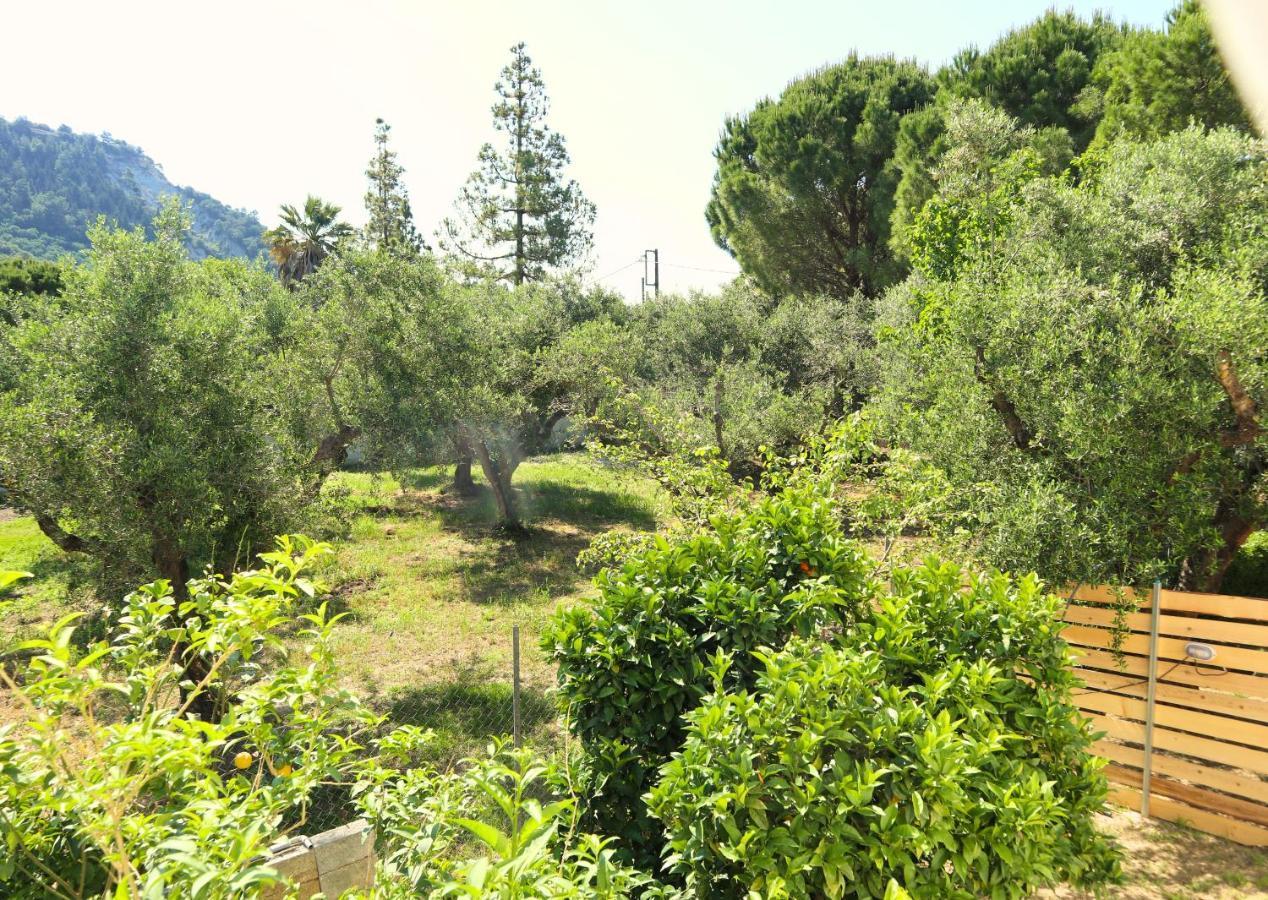 הוילה Gaitani Aerino מראה חיצוני תמונה